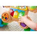 Hodalica za bebe Kuca 21790 Fisher Price - Slika 6
