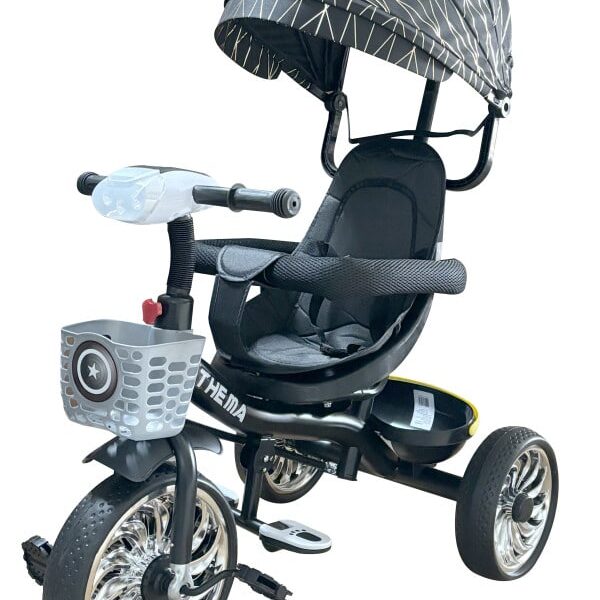 Tricikl za decu TS606