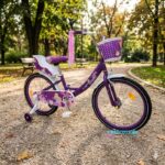 Dečiji bicikl TS-20 GIRL 1 AURORA - ljubučasti