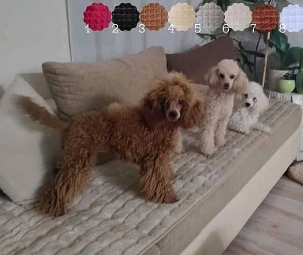 Sedalni prekrivači Stela pesak