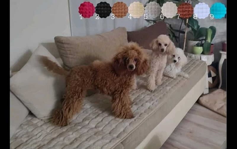 Sedalni prekrivači Stela pesak