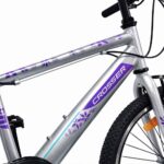 Dečija Bicikla Sport 24''/ 7 - Siva (SM-24904) - Slika 4