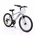 Dečija Bicikla Sport 24''/ 7 - Siva (SM-24904) - Slika 2