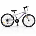 Dečija Bicikla Sport 24''/ 7 - Siva (SM-24904)