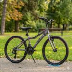 bicikl galaxy festina 24 inča siva/crna/roza-1