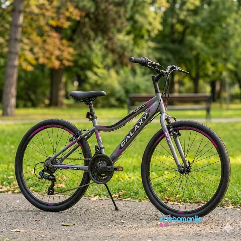 bicikl galaxy festina 24 inča siva/crna/roza-1