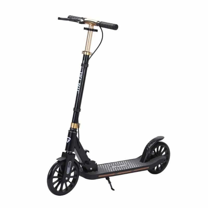 sklopivi trotinet sa dva točka tt-1005 crni slikan u parku