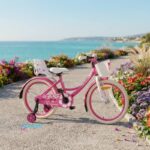 Dečiji bicikl BMX 20" - Pink (VLS003-PK20)