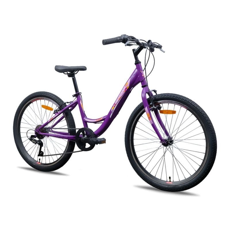 Galaxy Sienna 24 inch bicikl ljubičasta mat - slika 1