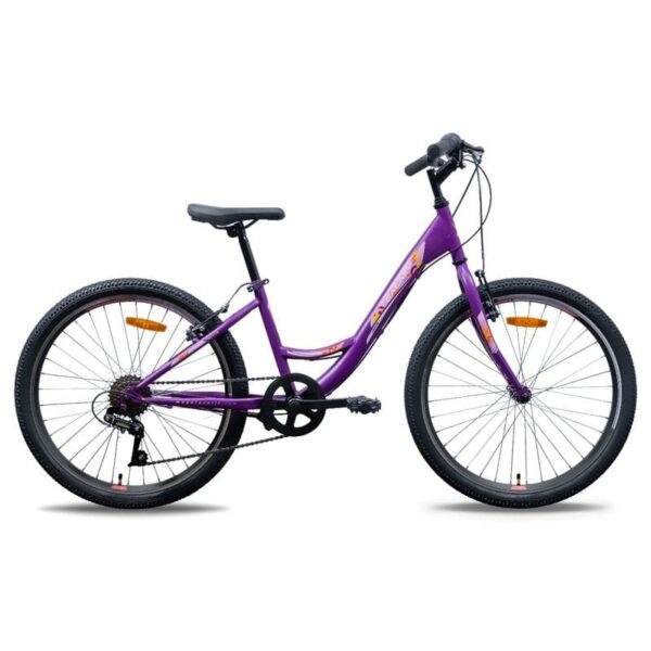 Galaxy Sienna 24 inch bicikl ljubičasta mat - slika 2