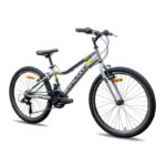 Galaxy Blazer 24 inch bicikl siva-crna-žuta mat - slika 1