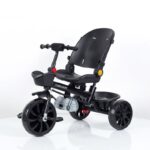 Tricikl SM-25205 Sivi 4