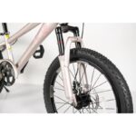 Bicikl 20 TN24Q22 šampanj roze 6